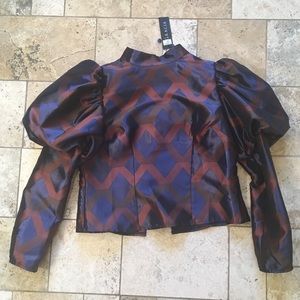 Balloon Sleeve Shirt